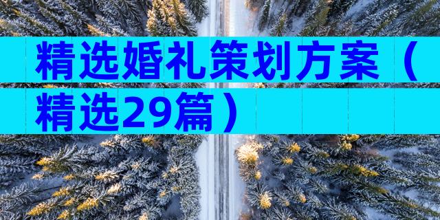 精选婚礼策划方案（精选29篇）