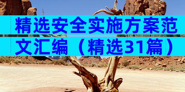精选安全实施方案范文汇编（精选31篇）