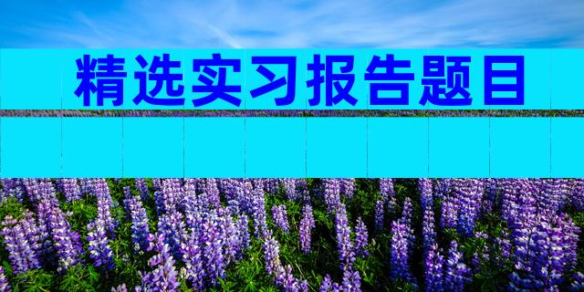 精选实习报告题目