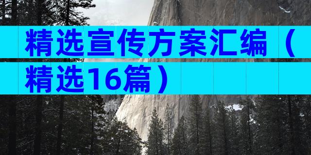 精选宣传方案汇编（精选16篇）