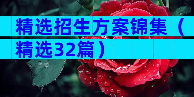精选招生方案锦集（精选32篇）