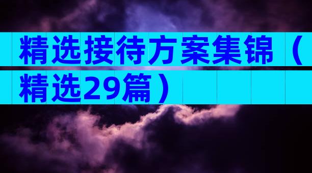 精选接待方案集锦（精选29篇）