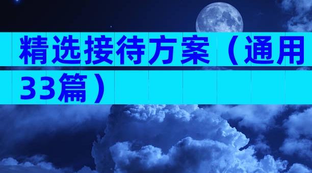 精选接待方案（通用33篇）