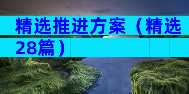 精选推进方案（精选28篇）