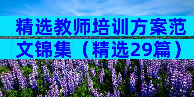精选教师培训方案范文锦集（精选29篇）