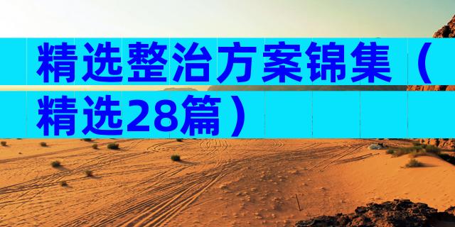 精选整治方案锦集（精选28篇）