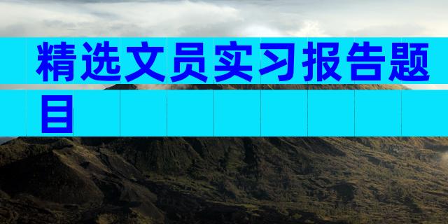 精选文员实习报告题目