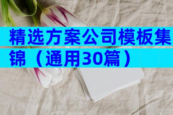 精选方案公司模板集锦（通用30篇）