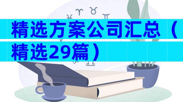 精选方案公司汇总（精选29篇）