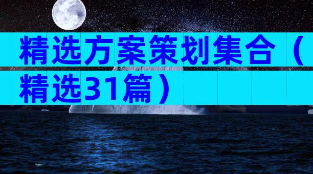 精选方案策划集合（精选31篇）