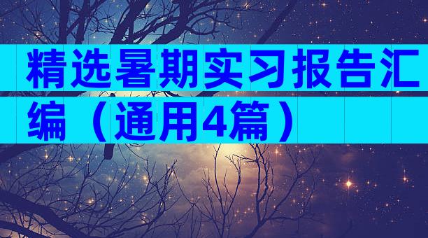 精选暑期实习报告汇编（通用4篇）