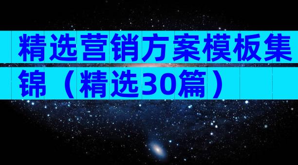 精选营销方案模板集锦（精选30篇）