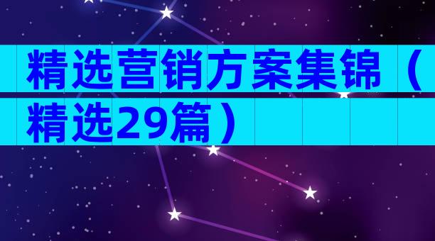 精选营销方案集锦（精选29篇）