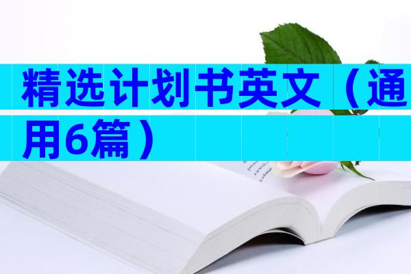 精选计划书英文（通用6篇）
