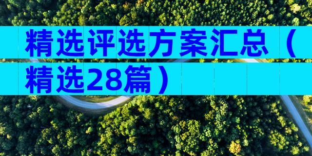 精选评选方案汇总（精选28篇）
