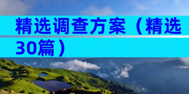 精选调查方案（精选30篇）