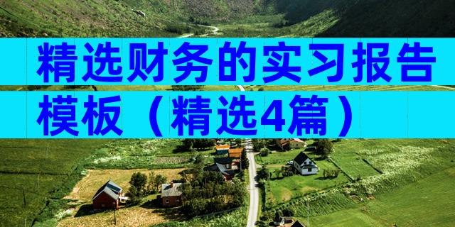 精选财务的实习报告模板（精选4篇）