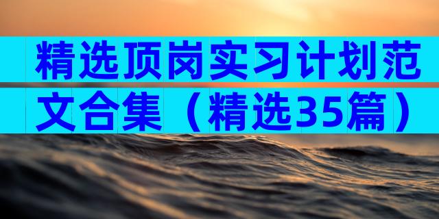 精选顶岗实习计划范文合集（精选35篇）