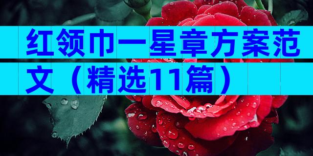 红领巾一星章方案范文（精选11篇）