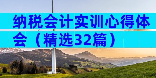 纳税会计实训心得体会（精选32篇）