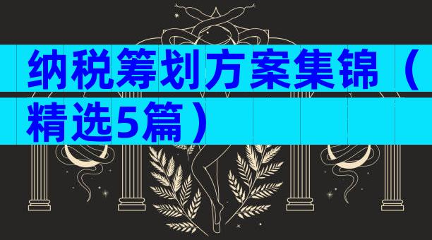 纳税筹划方案集锦（精选5篇）