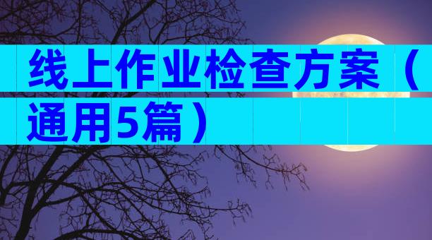 线上作业检查方案（通用5篇）