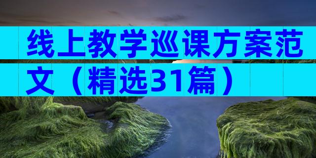 线上教学巡课方案范文（精选31篇）