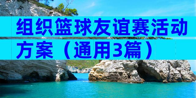 组织篮球友谊赛活动方案（通用3篇）