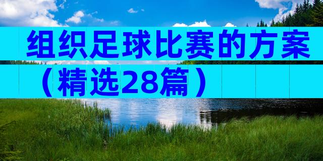 组织足球比赛的方案（精选28篇）