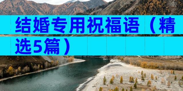 结婚专用祝福语（精选5篇）