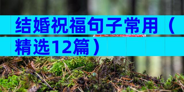 结婚祝福句子常用（精选12篇）