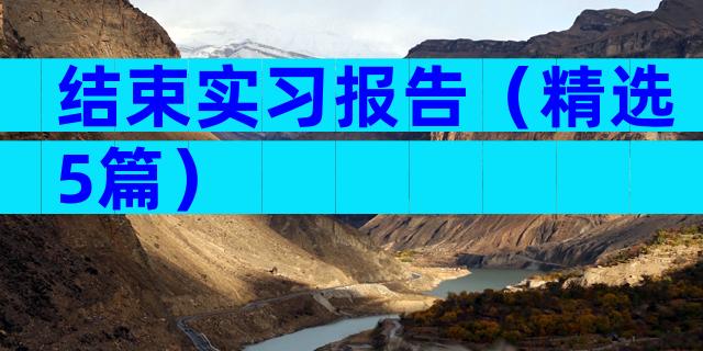 结束实习报告（精选5篇）