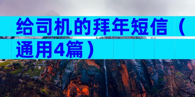 给司机的拜年短信（通用4篇）