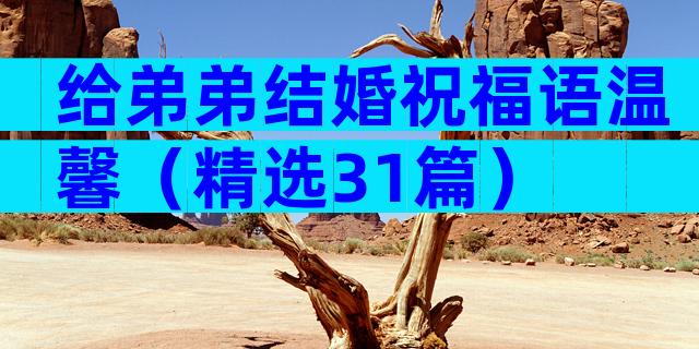 给弟弟结婚祝福语温馨（精选31篇）