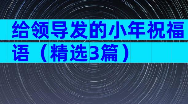 给领导发的小年祝福语（精选3篇）