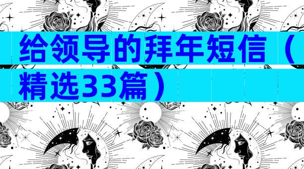 给领导的拜年短信（精选33篇）