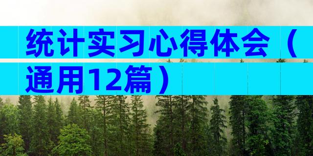 统计实习心得体会（通用12篇）