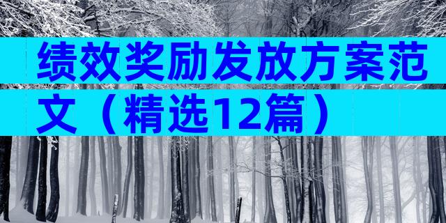 绩效奖励发放方案范文（精选12篇）