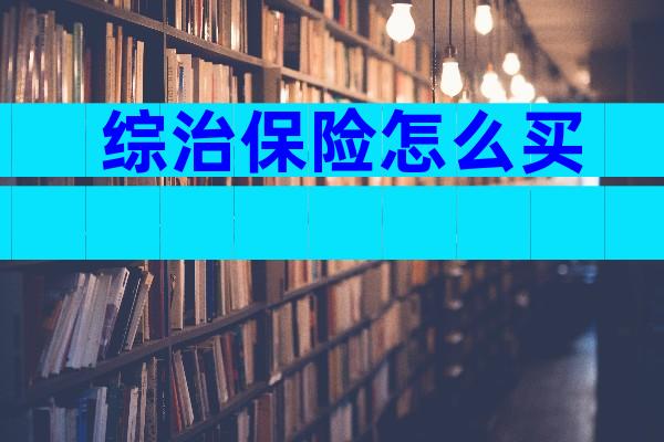 综治保险怎么买