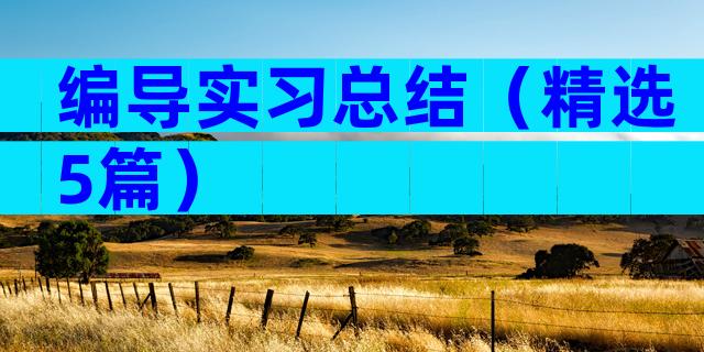 编导实习总结（精选5篇）