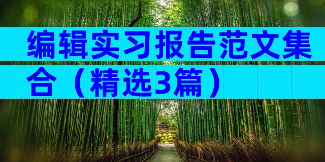 编辑实习报告范文集合（精选3篇）
