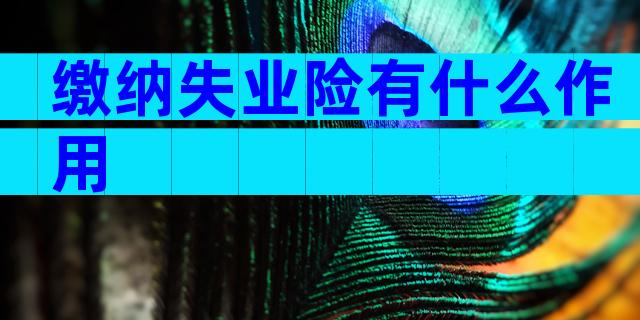 缴纳失业险有什么作用
