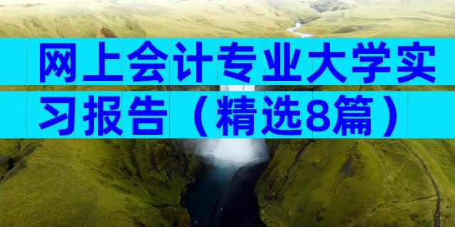 网上会计专业大学实习报告（精选8篇）
