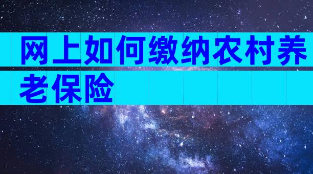 网上如何缴纳农村养老保险