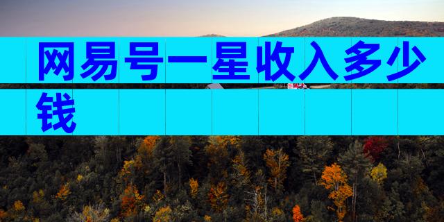 网易号一星收入多少钱