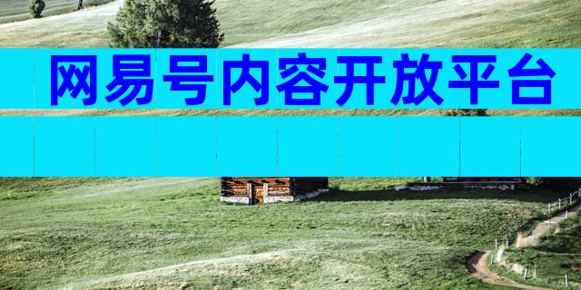 网易号内容开放平台