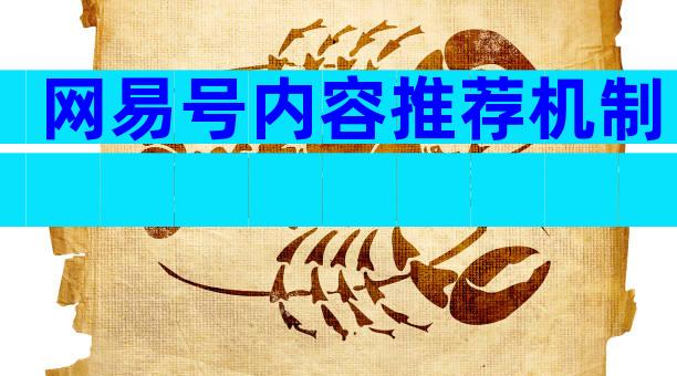 网易号内容推荐机制