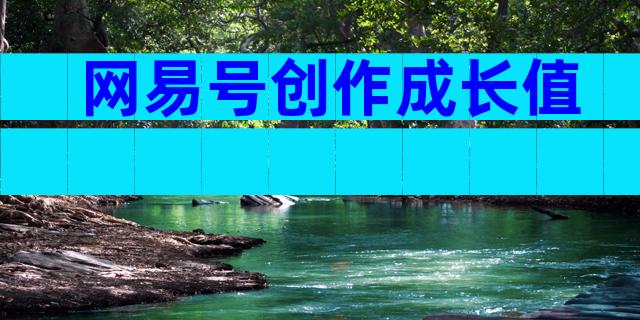 网易号创作成长值