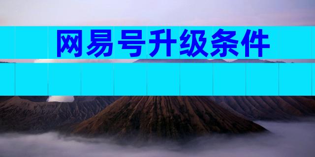 网易号升级条件