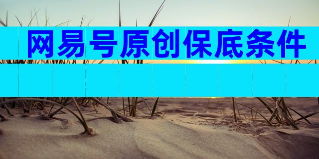 网易号原创保底条件